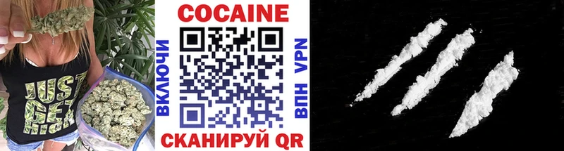Купить закладки  Валдай  COCAIN Fish Scale 