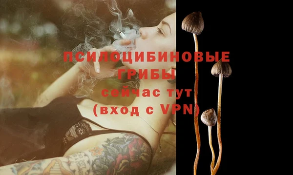 ECSTASY Вязьма
