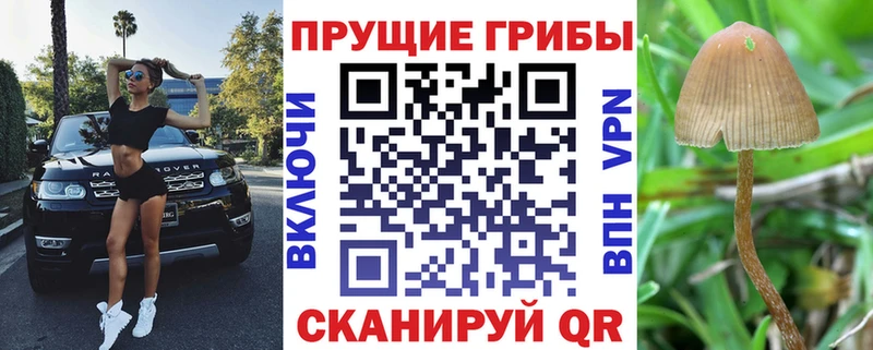 Галлюциногенные грибы Cubensis  Купить где  Валдай 